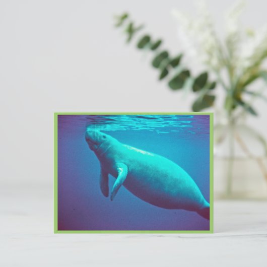 Manatee Surface to Breathe Briefkaart (Staand voorkant)