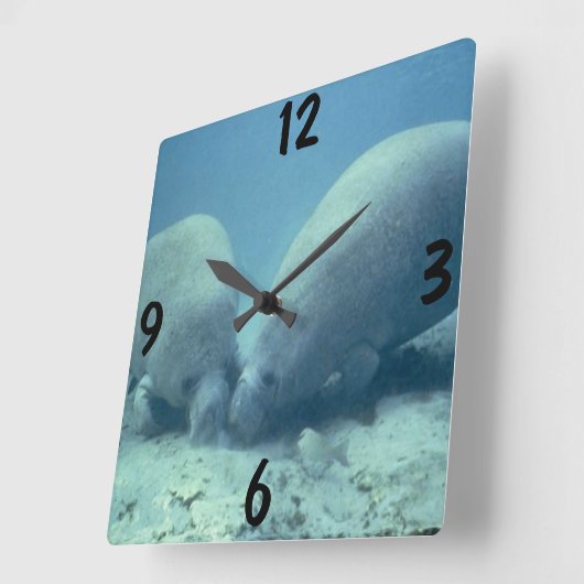 Manatee Wall Clock Vierkante Klok (Hoek)