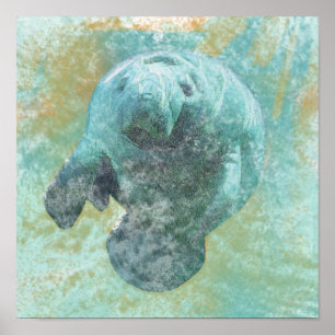 Manatee Zee Cow Art Glossy Poster