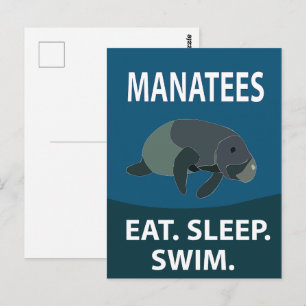 Manatee Zee Koe Dier Manatee Briefkaart
