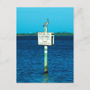 Manatee Zone Briefkaart