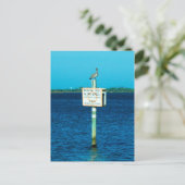 Manatee Zone Briefkaart (Staand voorkant)