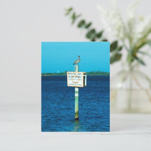 Manatee Zone Briefkaart (Staand voorkant)