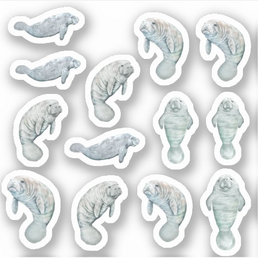 Manatees Aangepaste Vinyl Sticker Blad 3" (Voorkant)