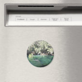 Manatees bij Blue Springs Magnet (Insitu (Vaatwasser))