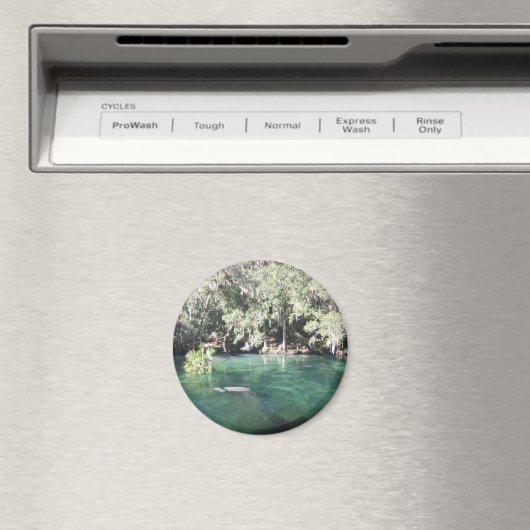 Manatees bij Blue Springs Magnet (Insitu (Vaatwasser))