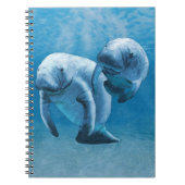 Manatees Notitieboek (Voorkant)