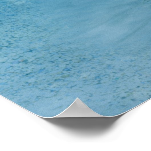 Manatees Poster (Hoek)