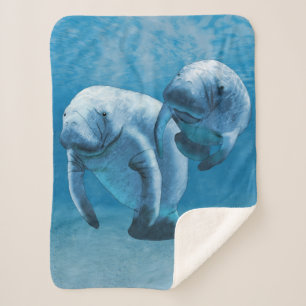 Manatees Sherpa Deken