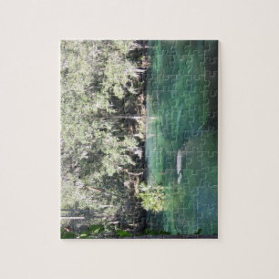 Manatees Swimming Florida Blue Springs State Park Legpuzzel