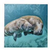 Manatees Tegeltje (Voorkant)
