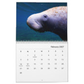 Manatees Wall Calendar Kalender (Feb 2027)