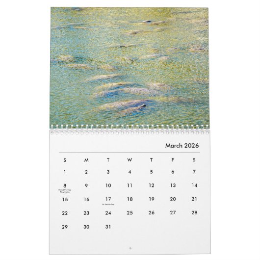 Manatees Wall Calendar Kalender (Mar 2026)