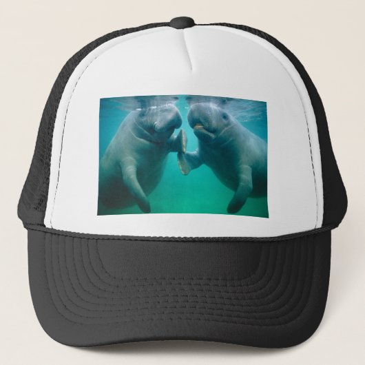 manateh trucker pet (Voorkant)