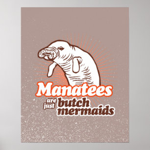 MANATEN ZIJN ALLEEN MAAR MATERIAAL -.png Poster