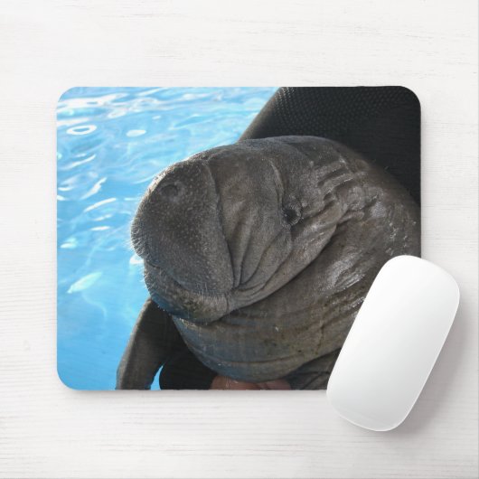 Manati SMP04 Muismat (Met muis)