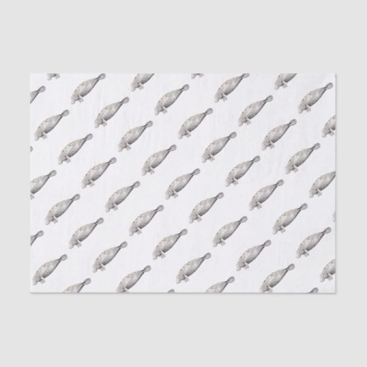 Manati Tissuepapier (Voorkant)