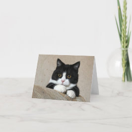 Manchester grote kauwkaart kaart