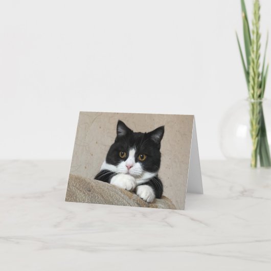 Manchester grote kauwkaart kaart (Voorkant)