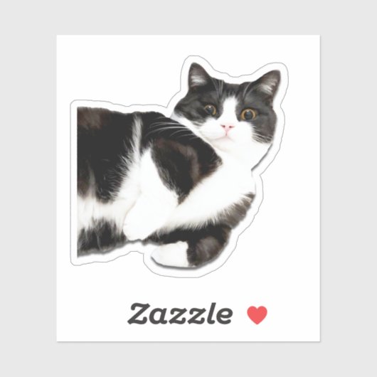 Manchester "Hoi!" Sticker (Vel)