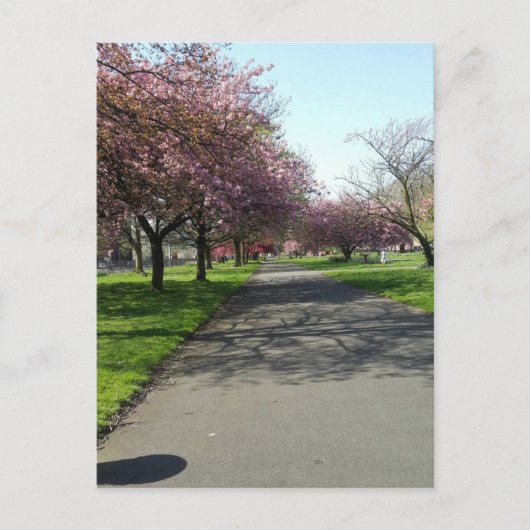 Manchester in Spring Briefkaart (Voorkant)