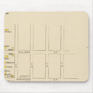 Manchester, NH, Ward 1 Muismat