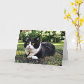 Manchester op natuur kaart (Gele Bloem)