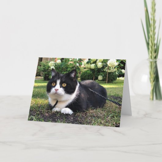 Manchester op natuur kaart (Voorkant)