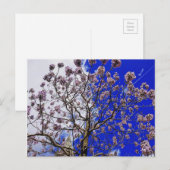Manchester Spring Briefkaart (Voorkant / Achterkant)