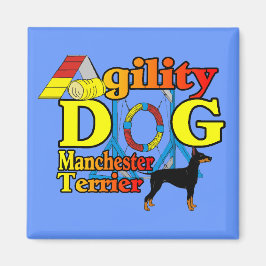 Manchester_Terrier_Agility Magneet