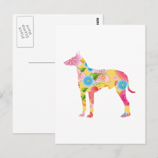 Manchester Terrier Briefkaart (Voorkant / Achterkant)