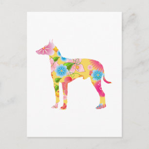 Manchester Terrier Briefkaart