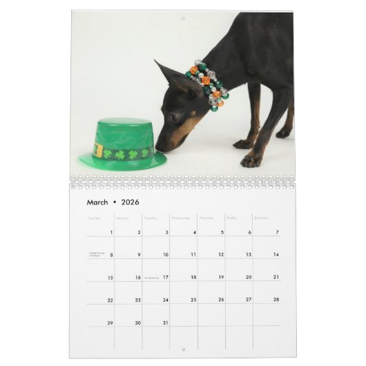 Manchester Terrier Calendar 2021 B Kalender (Mar 2026)