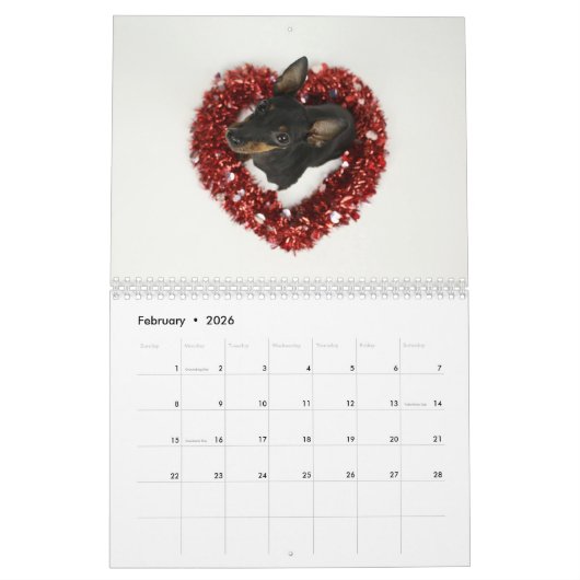 Manchester Terrier Calendar 2021 B Kalender (Feb 2026)