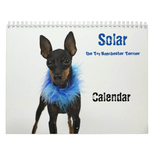 Manchester Terrier Calendar 2021 B Kalender (Hoes)