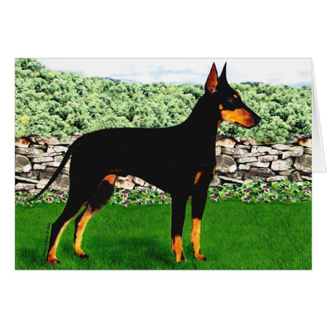 Manchester Terrier Card (Voorkant Horizontaal)