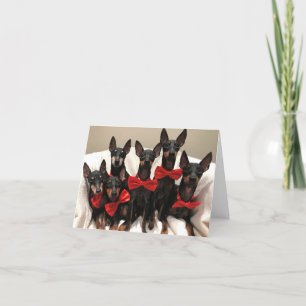Manchester Terrier Card Bedankkaart