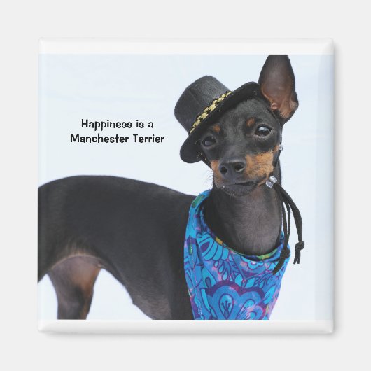 Manchester Terrier Happiness Magnet (Voorkant)