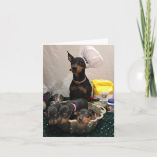 Manchester Terrier Holiday Card Kaart