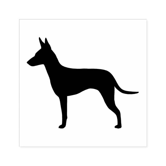 Manchester Terrier Hondenras Silhouette Rubberstempel (Afrduk)