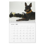 Manchester Terrier Kleine Kalender (Jan 2027)