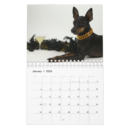 Manchester Terrier Kleine Kalender (Jan 2026)