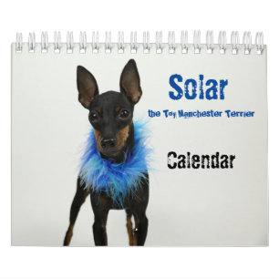 Manchester Terrier Kleine Kalender