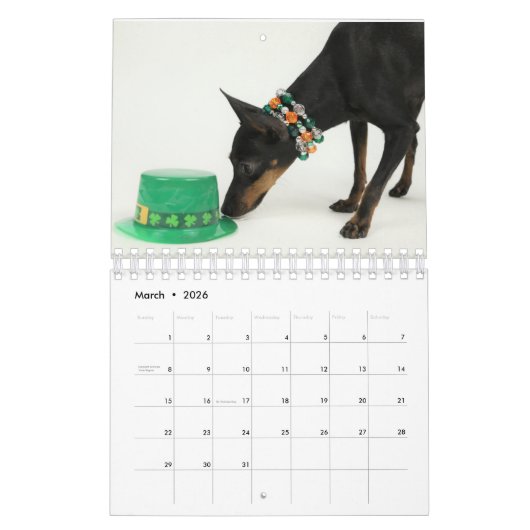 Manchester Terrier Kleine Kalender (Mar 2026)