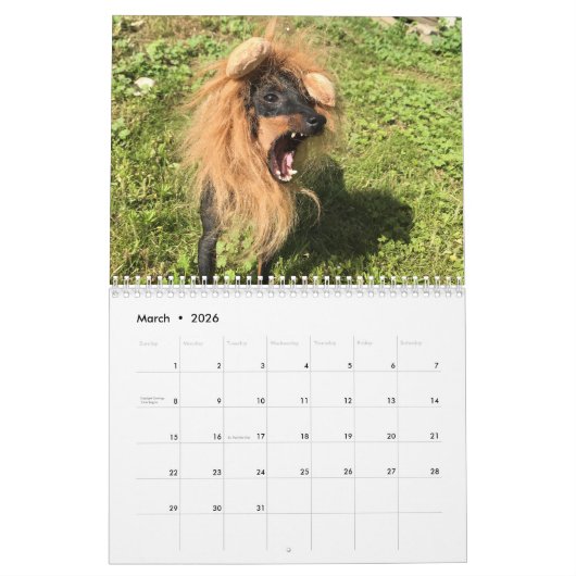 Manchester Terrier Medium 2021 Calendar A Kalender (Mar 2026)