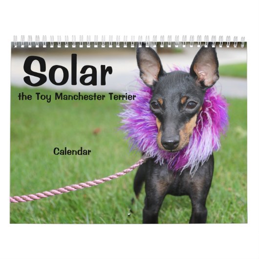 Manchester Terrier Medium 2021 Calendar A Kalender (Hoes)