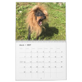 Manchester Terrier Medium 2021 Calendar A Kalender (Mar 2027)