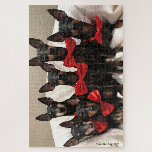 Manchester Terrier Puzzle - 1.000 stuks Legpuzzel (Verticaal)