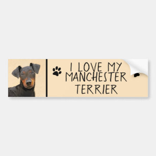 Manchester Terrier schilderij originele dierlijke  Bumpersticker