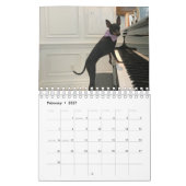 Manchester Terrier Small 2021 Agenda A Kalender (Feb 2027)